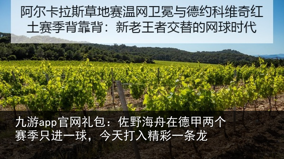 九游app官网礼包:佐野海舟在德甲两个赛季只进一球,今天打入精彩一条龙