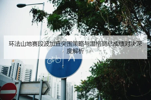 环法山地赛段波加查突围策略与温格高总成绩对决深度解析