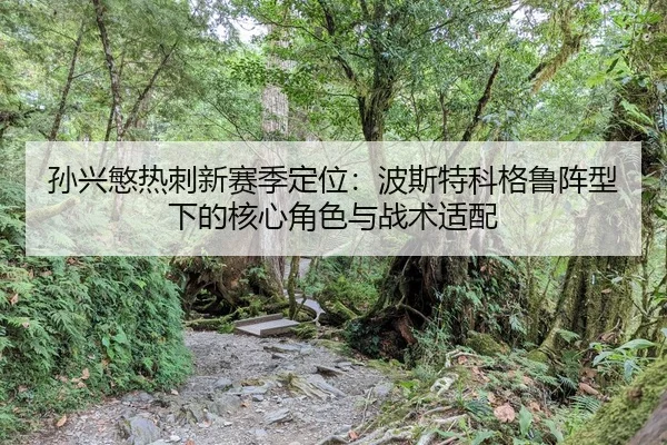 sun-xing-min-re-ci-xin-sai-ji-ding-wei-bo-si-te-ke-ge-lu-zhen-xing-xia-de-he-xin-jue-se-yu-zhan-shu-shi-pei-2-270.jpg