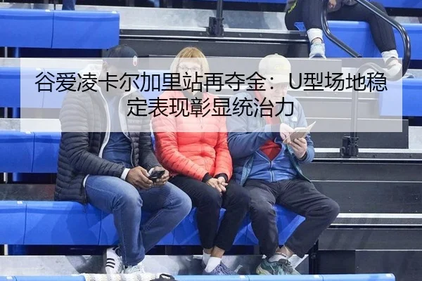 gu-ai-ling-ka-er-jia-li-zhan-zai-duo-jin-xing-chang-di-wen-ding-biao-xian-zhang-xian-tong-zhi-li-2-318.jpg