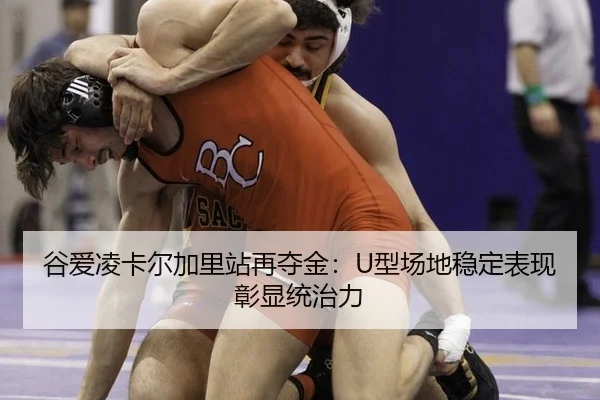 gu-ai-ling-ka-er-jia-li-zhan-zai-duo-jin-xing-chang-di-wen-ding-biao-xian-zhang-xian-tong-zhi-li-3-502.jpg