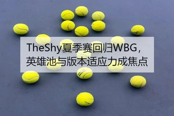 TheShy夏季赛回归WBG，英雄池与版本适应力成焦点