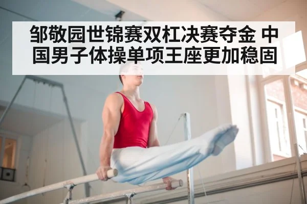邹敬园世锦赛双杠决赛夺金 中国男子体操单项王座更加稳固